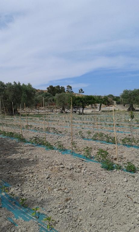 Agriturismo Donna Beatrice Bianco Eksteriør bilde