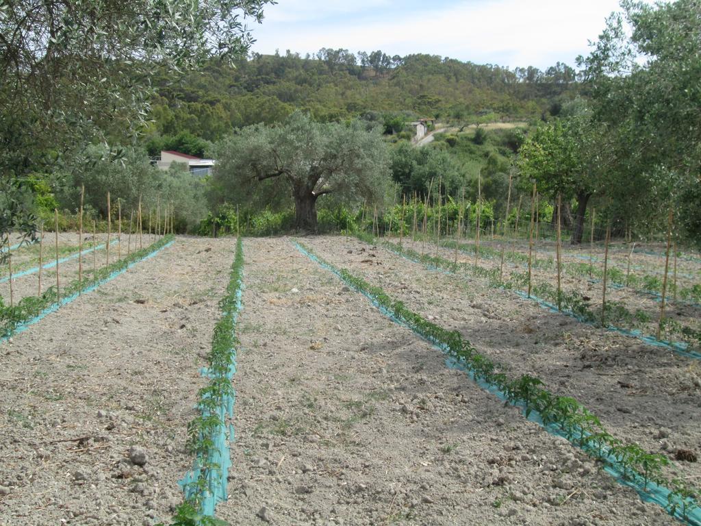 Agriturismo Donna Beatrice Bianco Eksteriør bilde